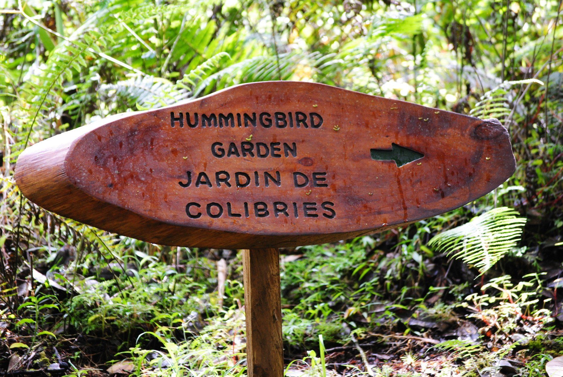 A wooden sign pointing to the hummingbird garden