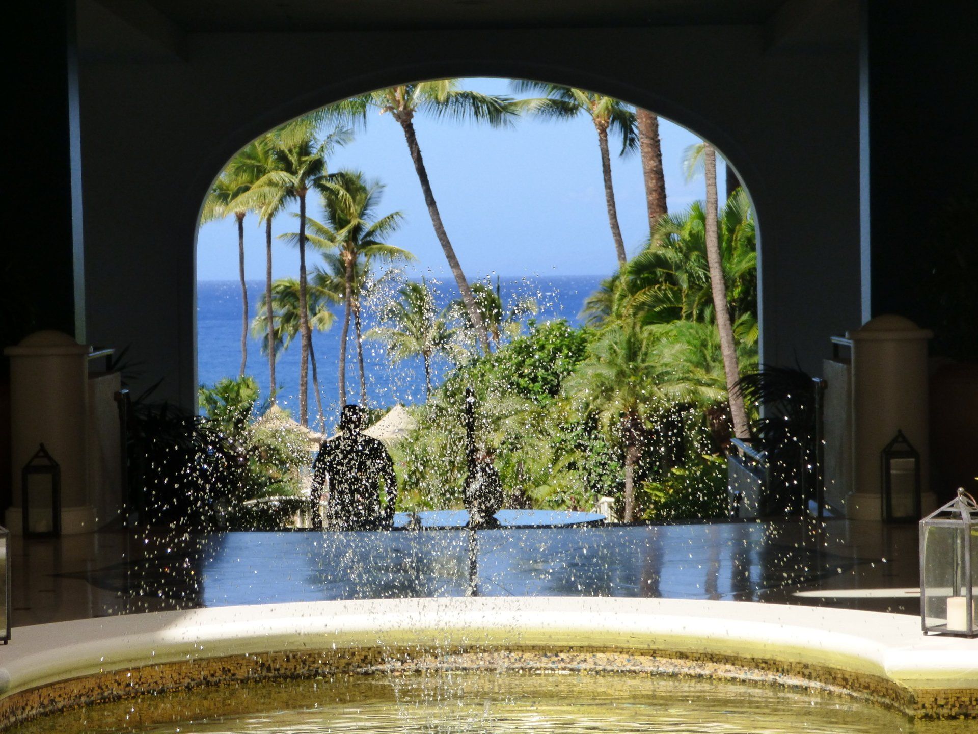 A pool with a view of the ocean and palm trees