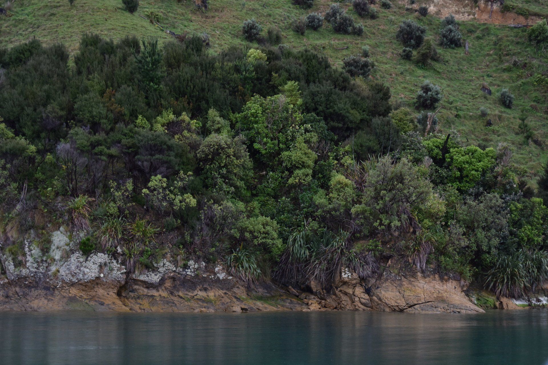 A lake surrounded by trees and grass on a hillside.