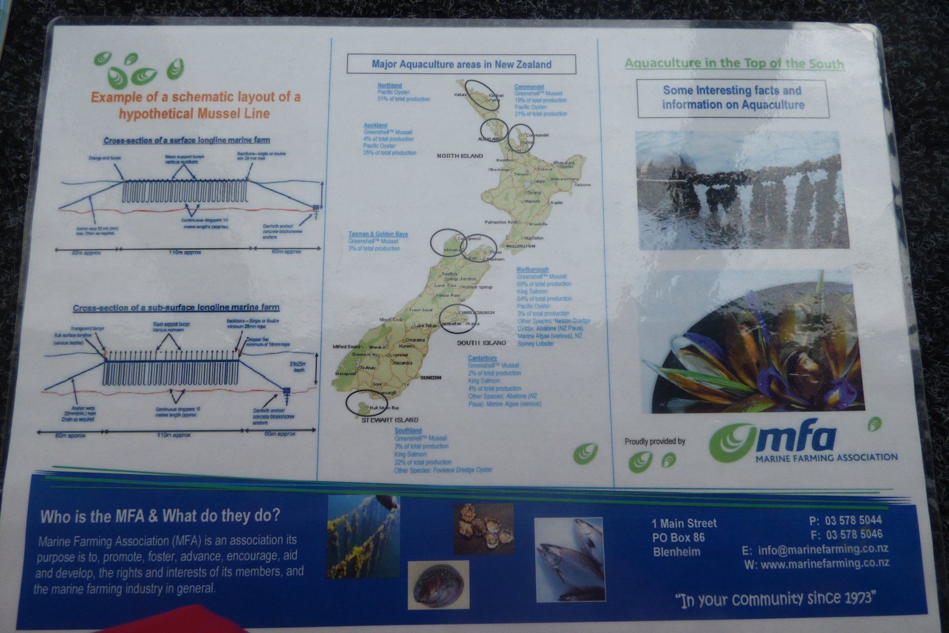 A pamphlet with a map of new zealand on it