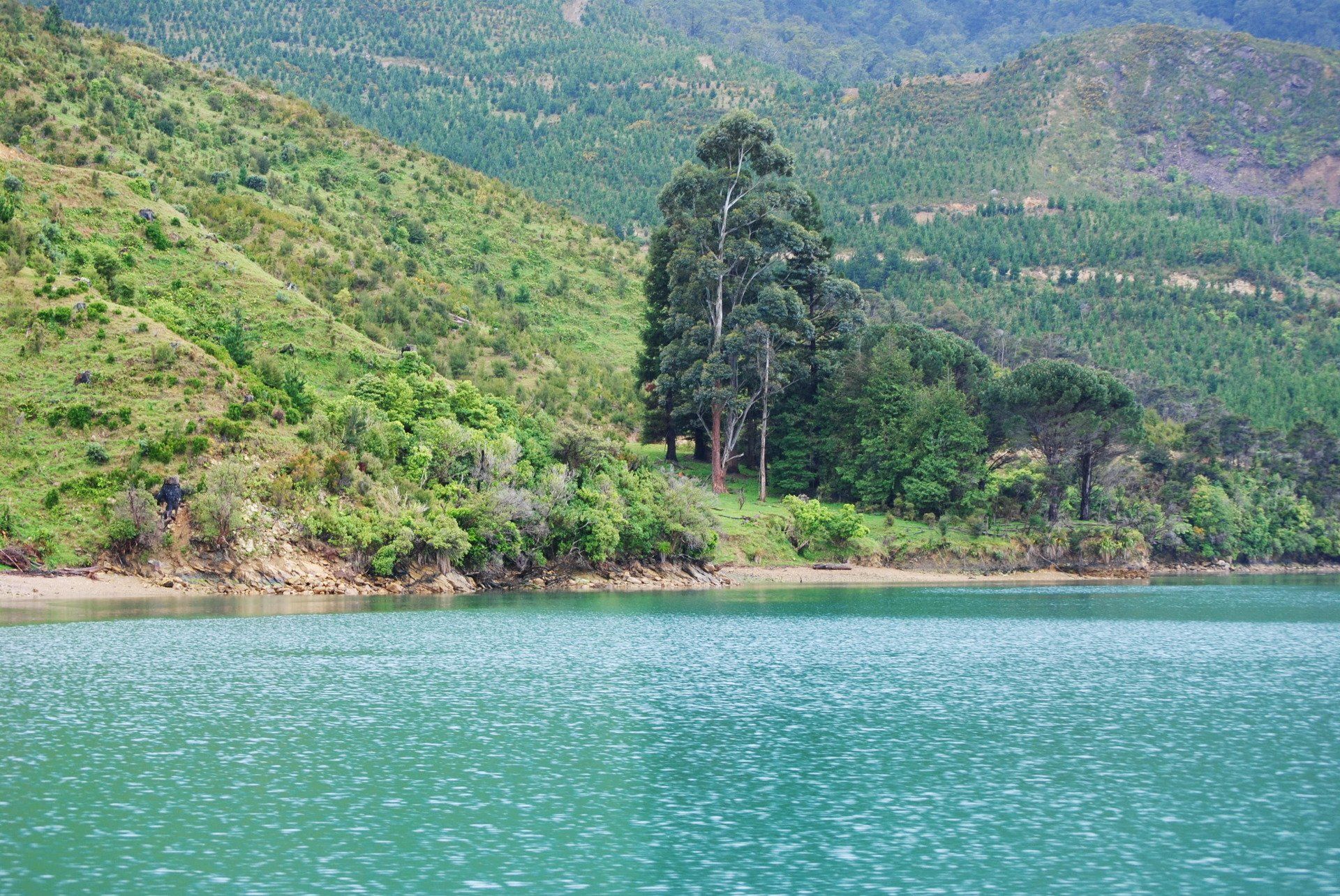 A small house sits on the shore of a lake surrounded by trees.