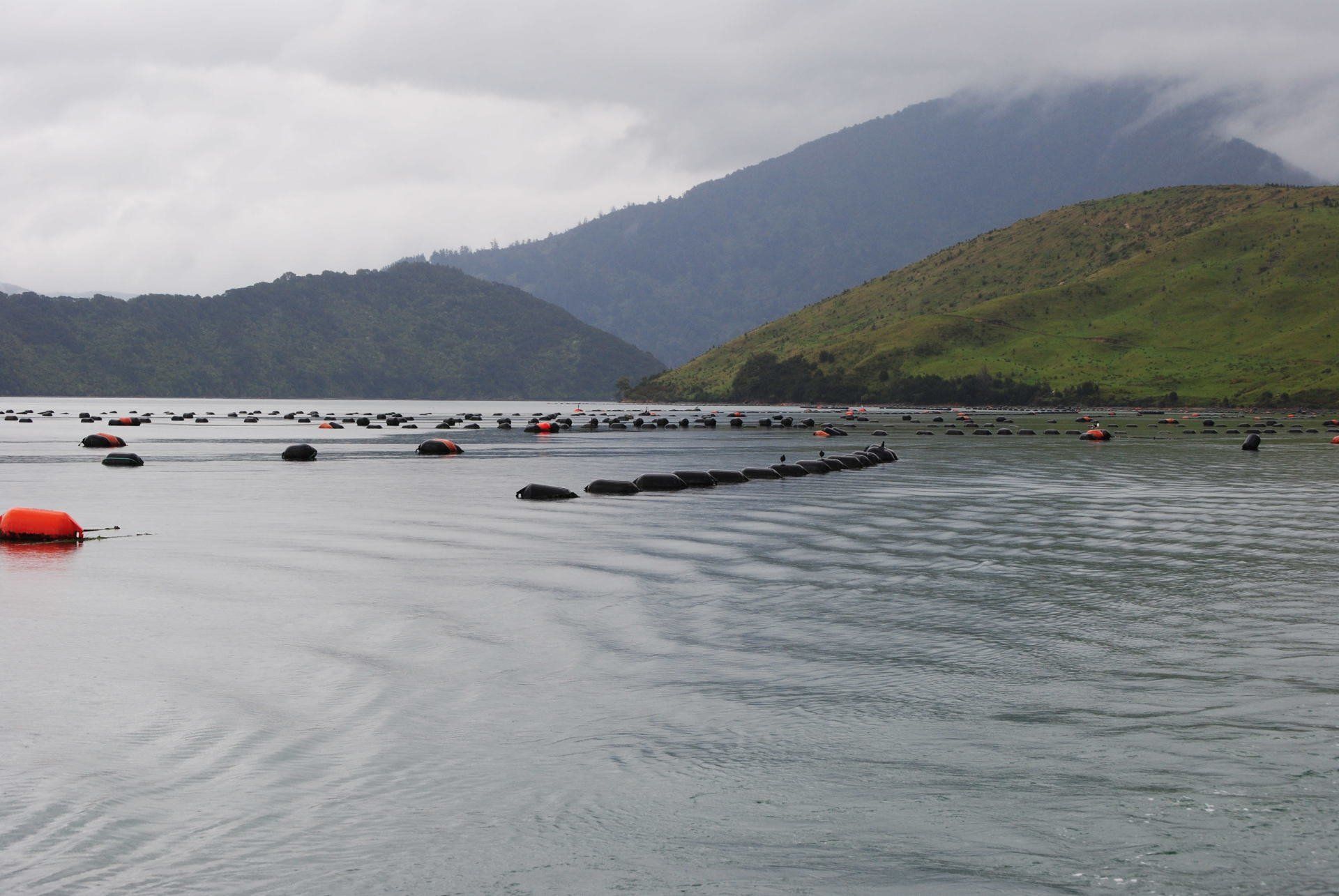 A large body of water with mountains in the background
