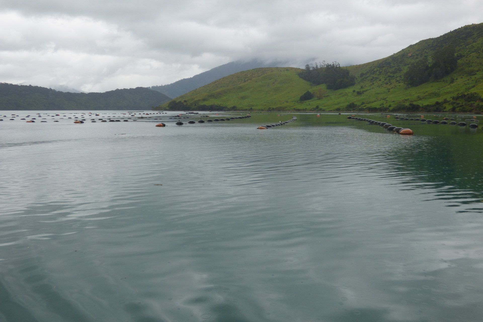 A large body of water with mountains in the background