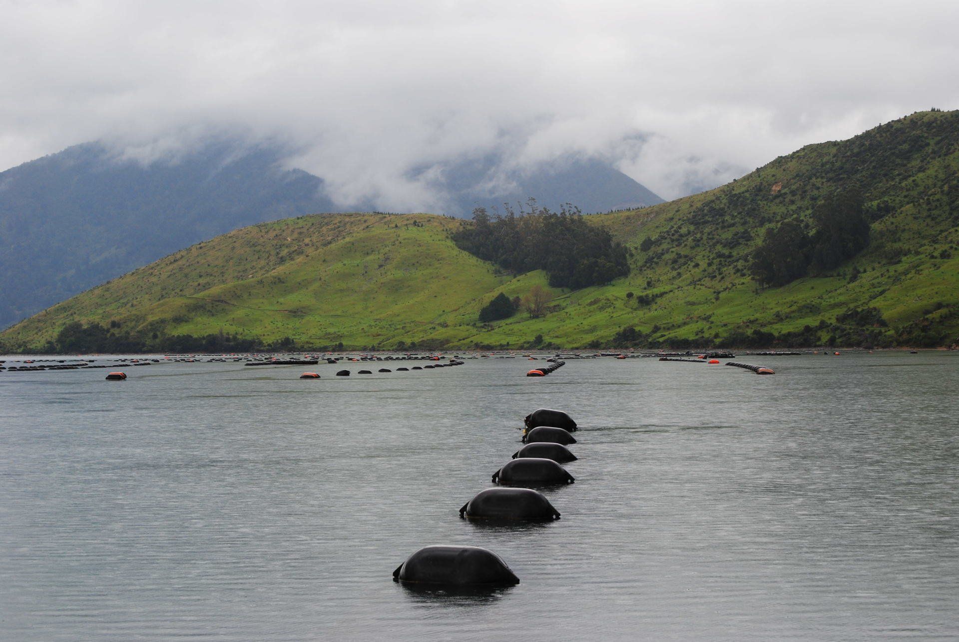 A row of rocks in the water with mountains in the background