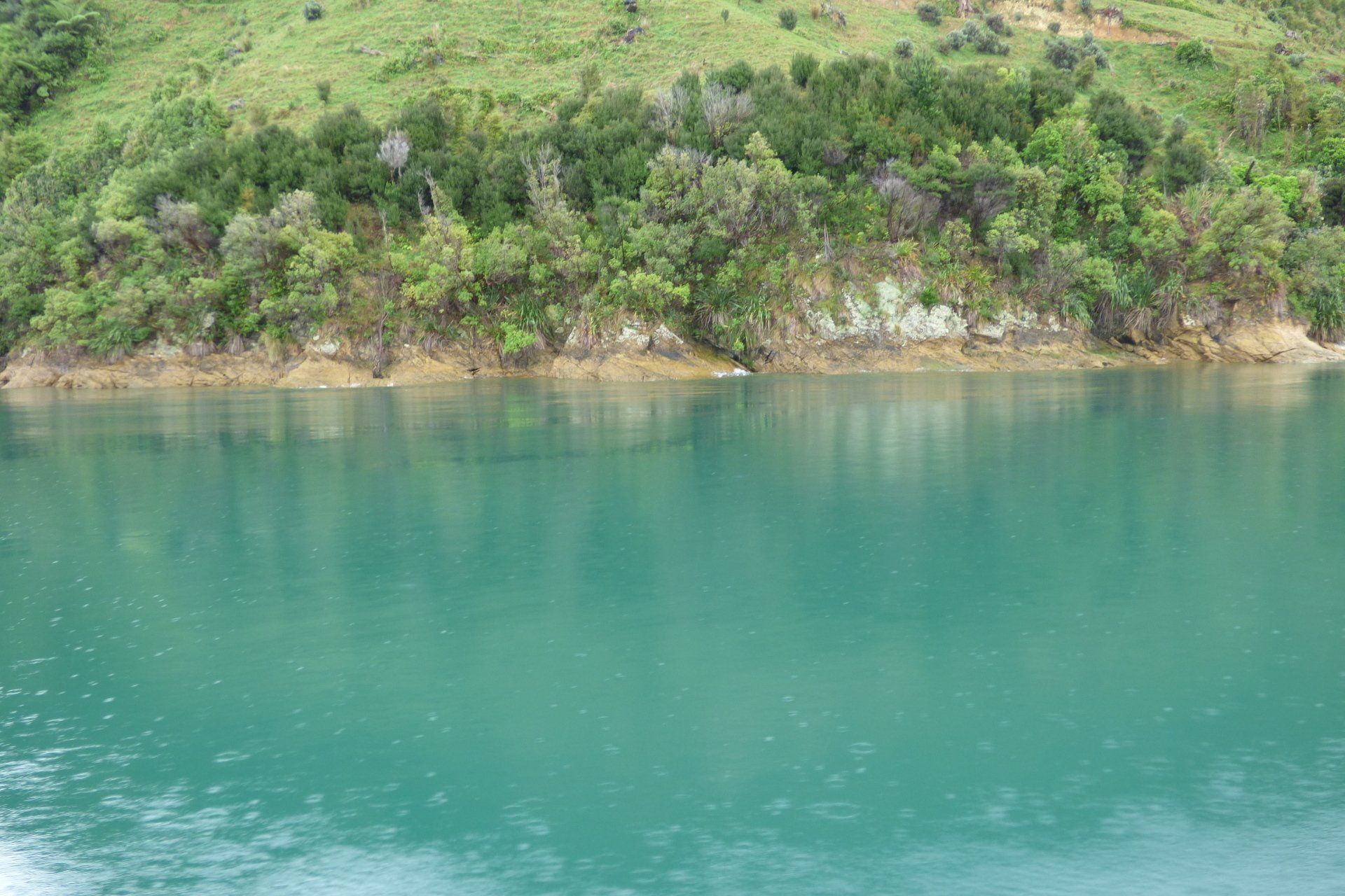 A large body of water surrounded by trees on a hillside.