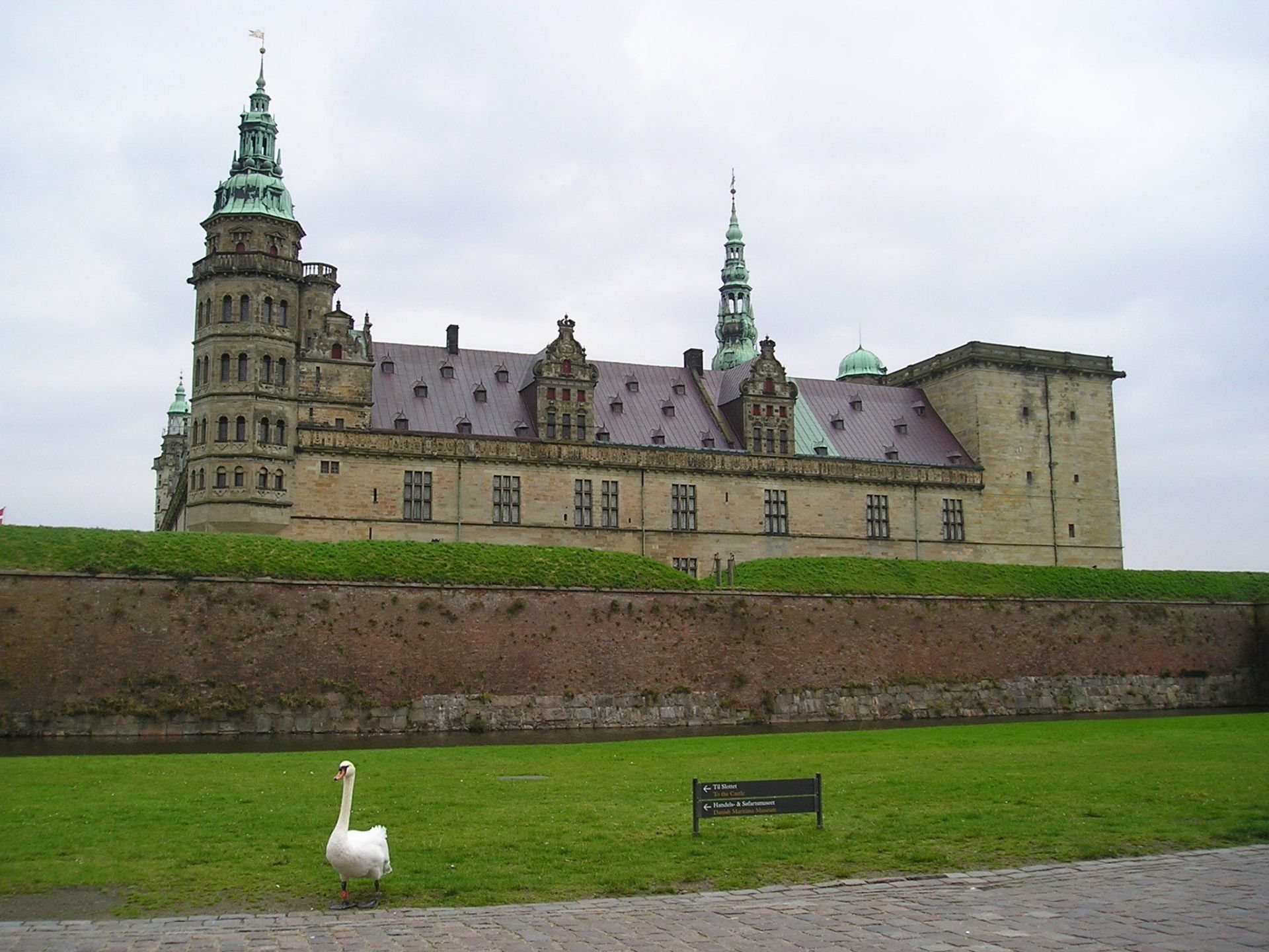 A swan is standing in front of a large building
