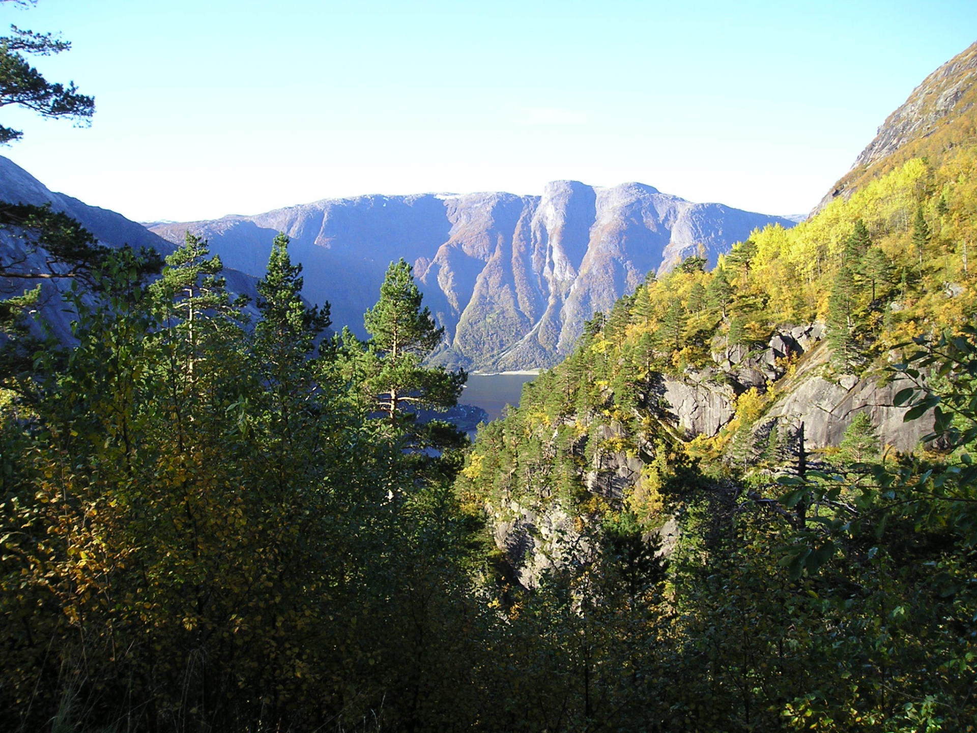 A valley with mountains in the background and trees in the foreground