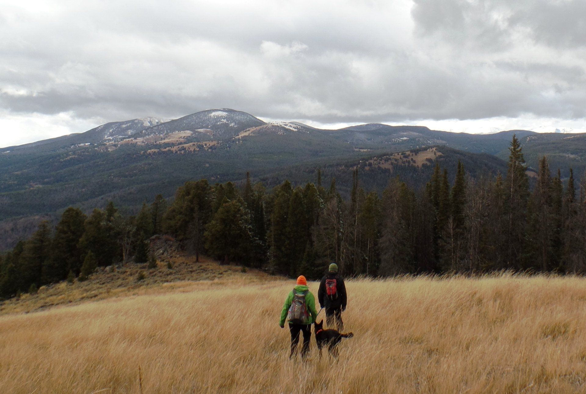 Two people and a dog are walking through a field with mountains in the background.