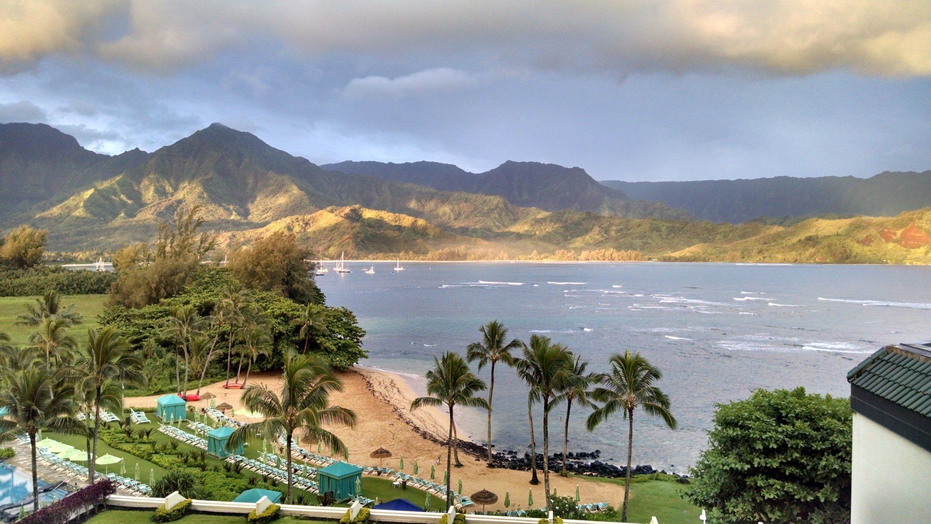 A view of a beach with palm trees and mountains in the background