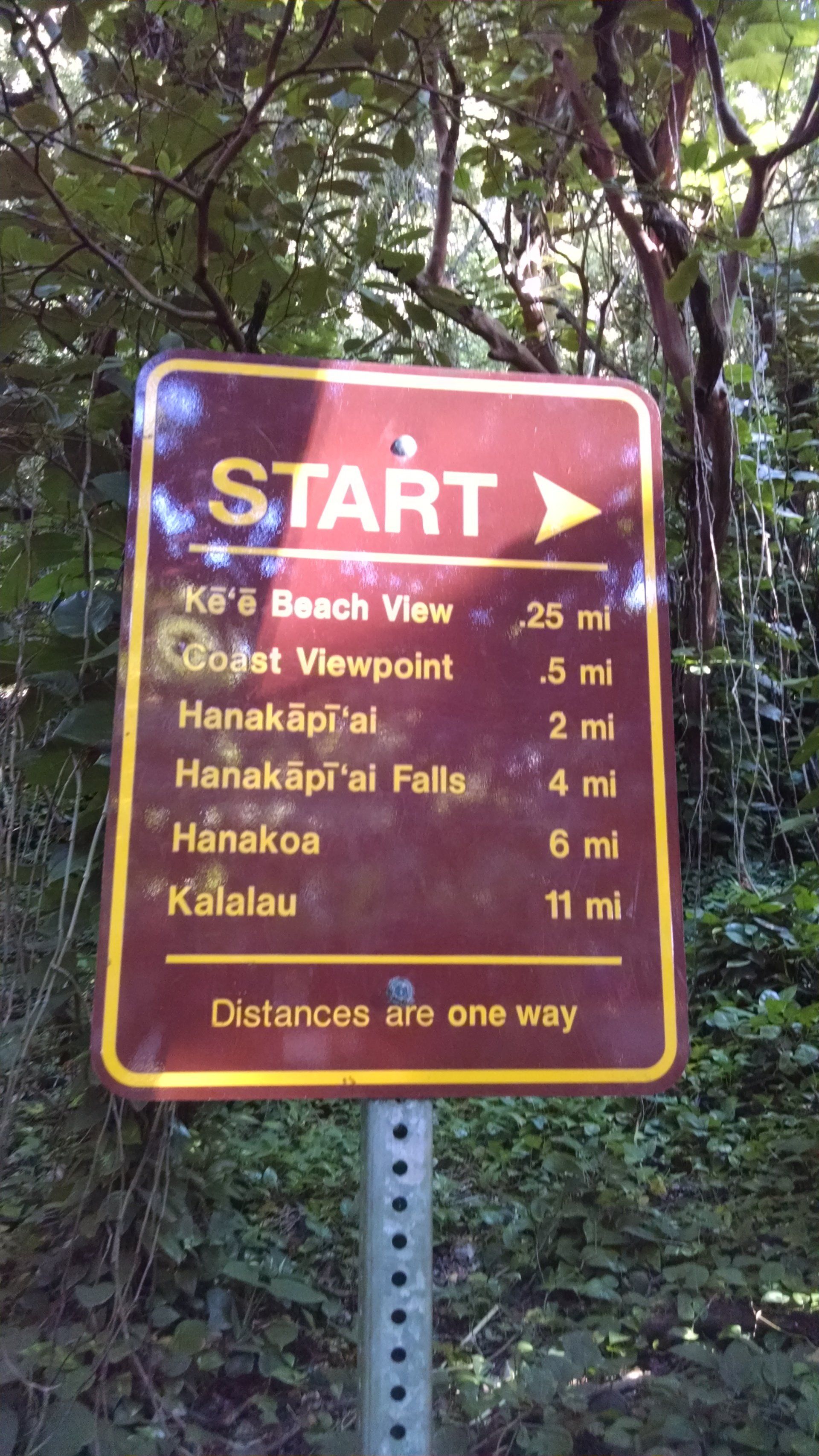 A sign that says ' start ' on it in the middle of a forest