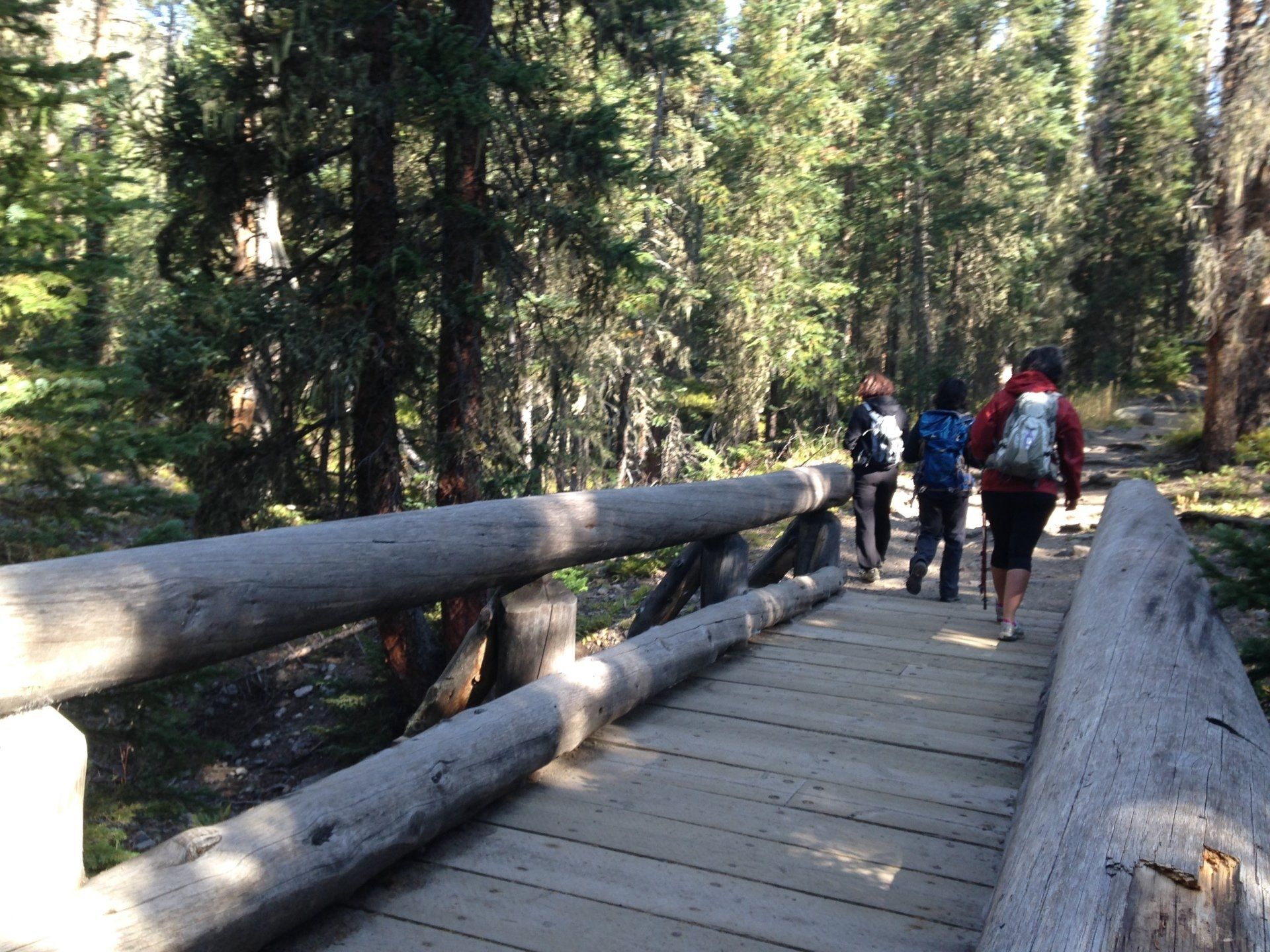 A group of people are walking across a wooden bridge in the woods