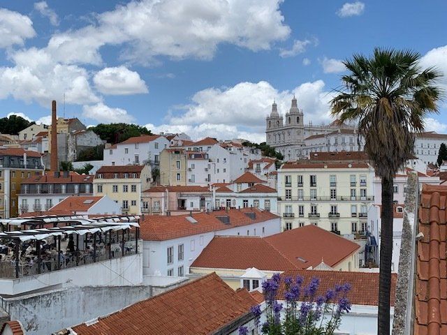 A view of a city with a palm tree in the foreground