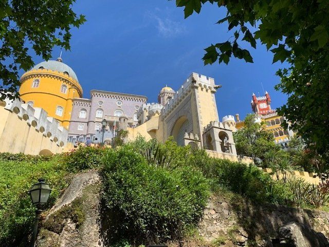 A castle sitting on top of a hill surrounded by trees