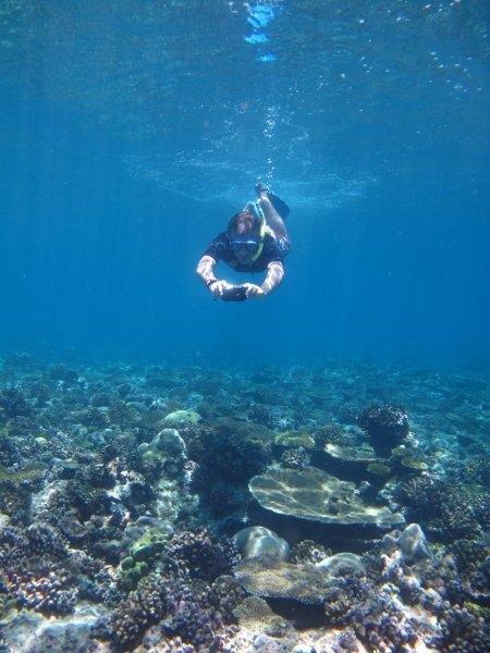 A person is swimming in the ocean near a coral reef.