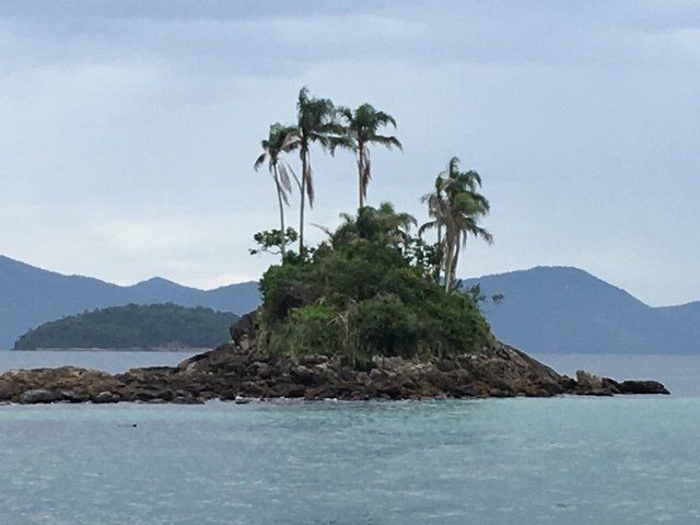 A small island with palm trees in the middle of the ocean