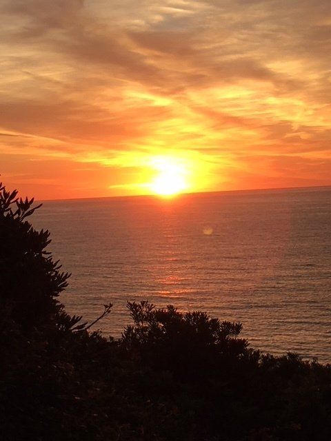 A sunset over the ocean with trees in the foreground