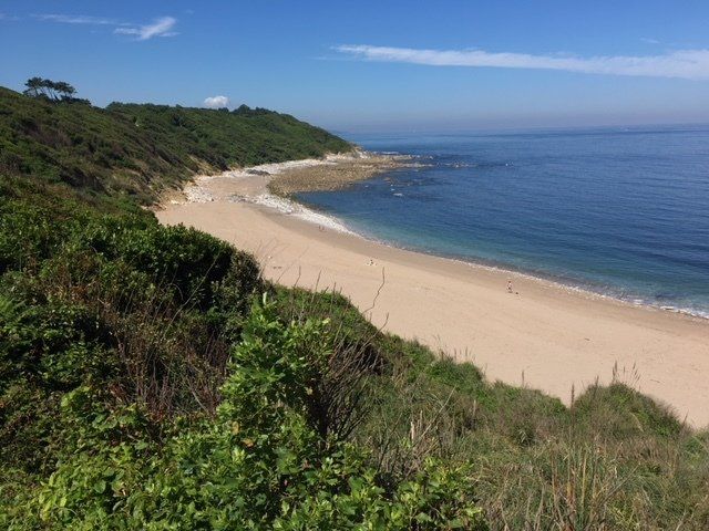 A sandy beach surrounded by trees and bushes next to the ocean on a sunny day.