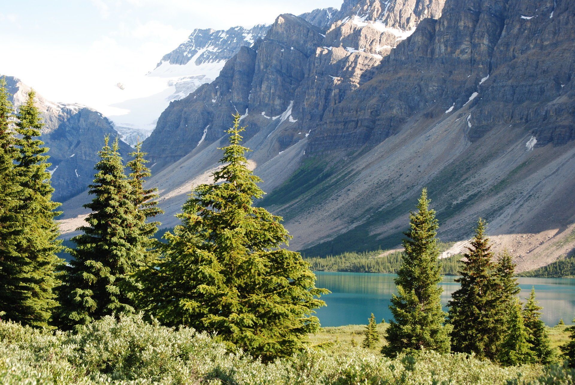 A lake surrounded by trees with mountains in the background