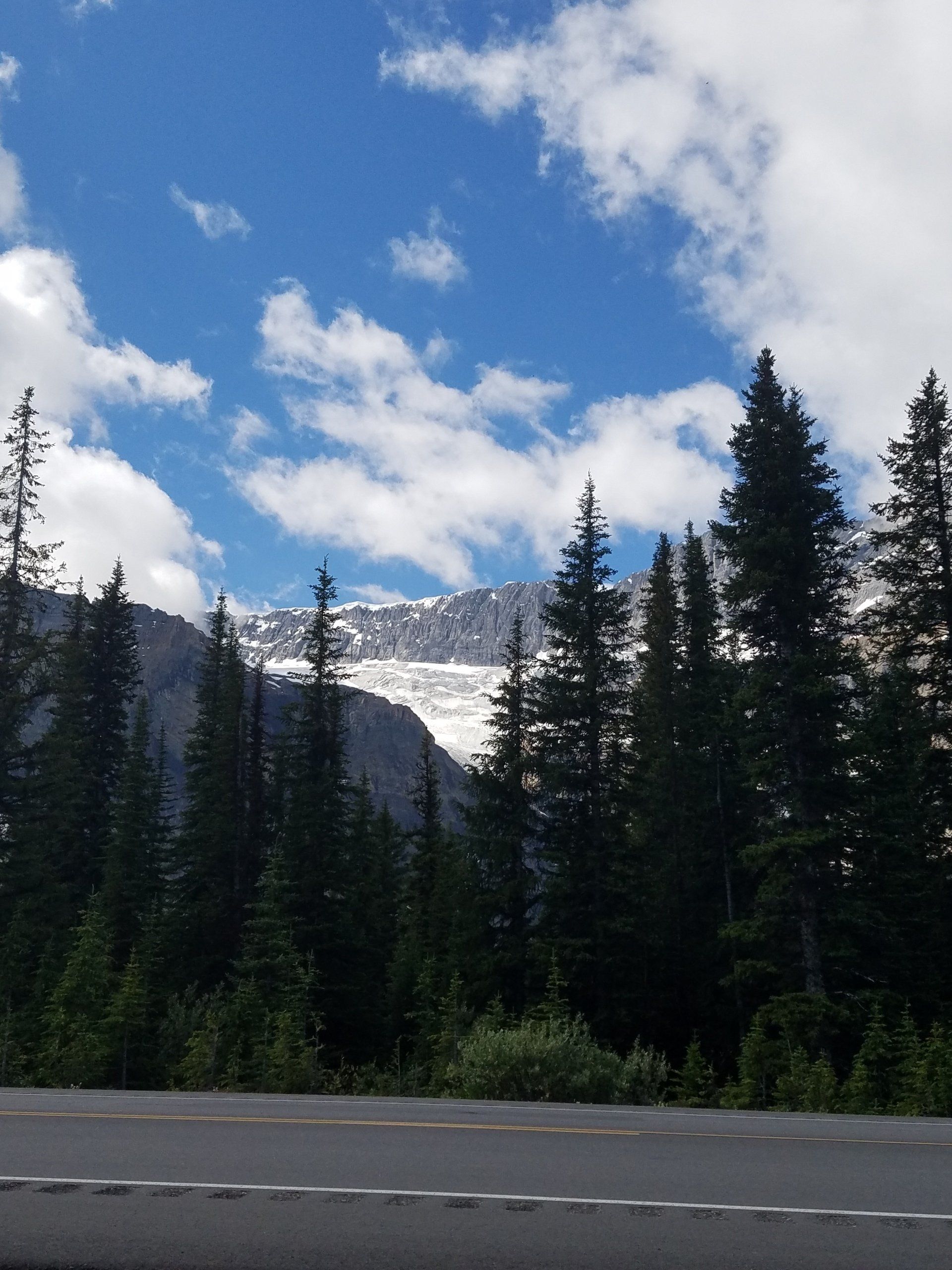 A road with trees and mountains in the background