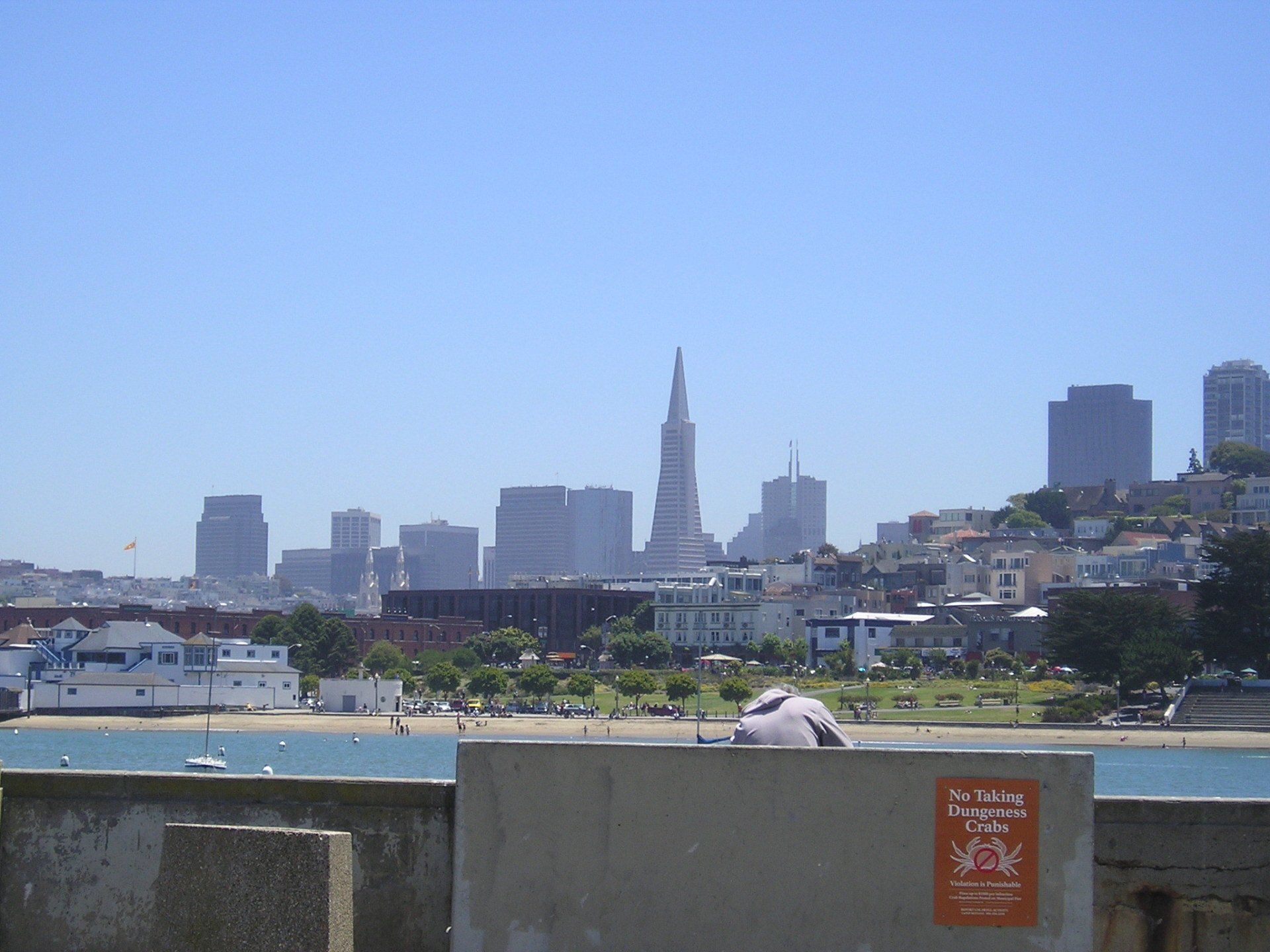 A sign on a wall that says no dogs on it