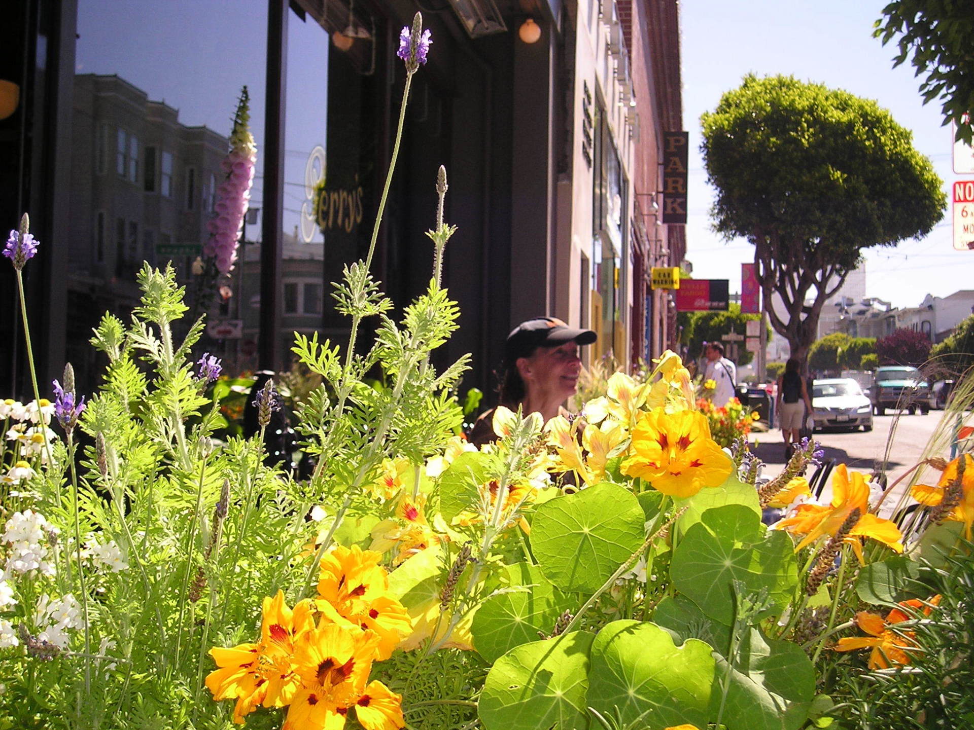 A man sits in front of a building surrounded by flowers
