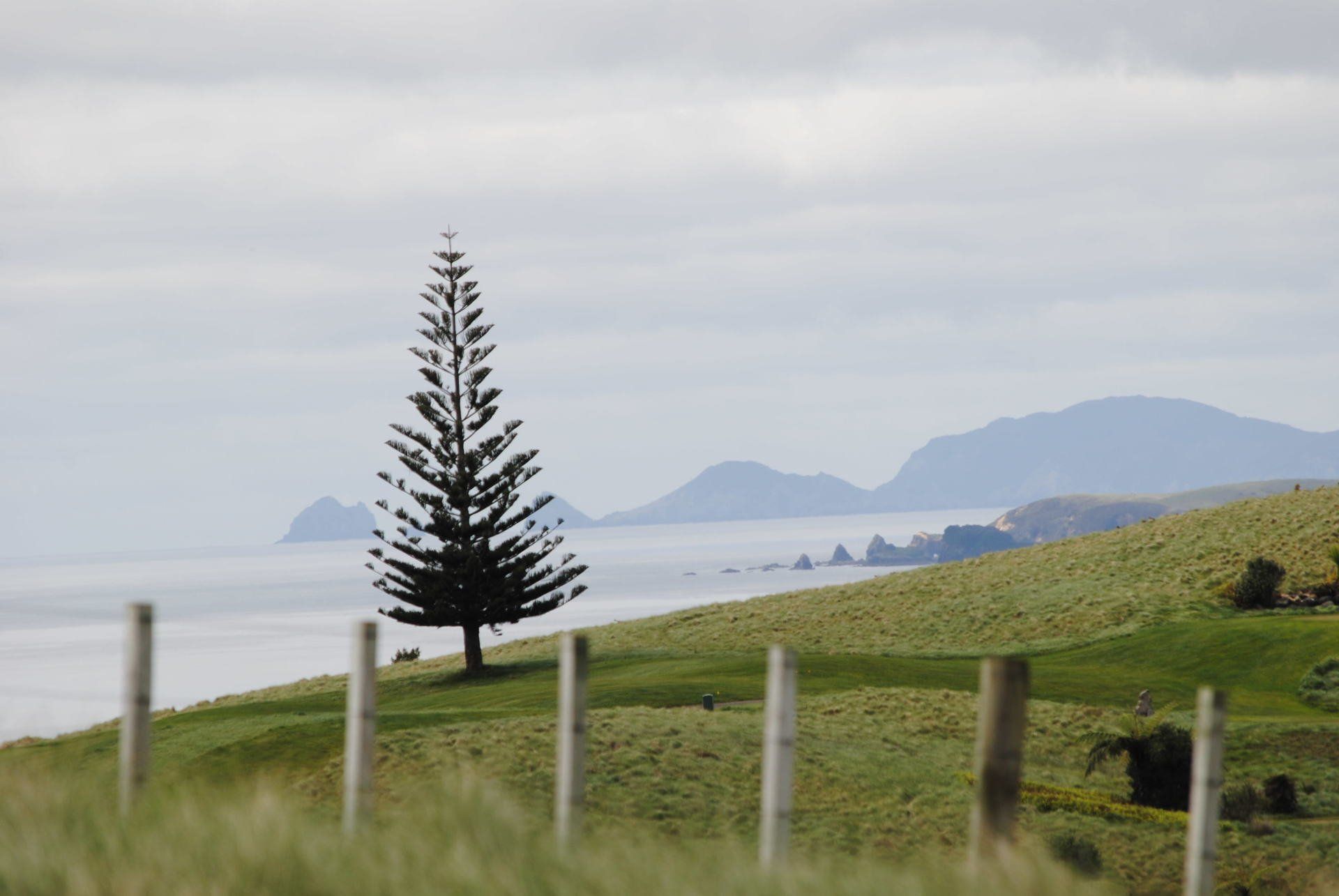 A fence with a tree in the foreground and mountains in the background