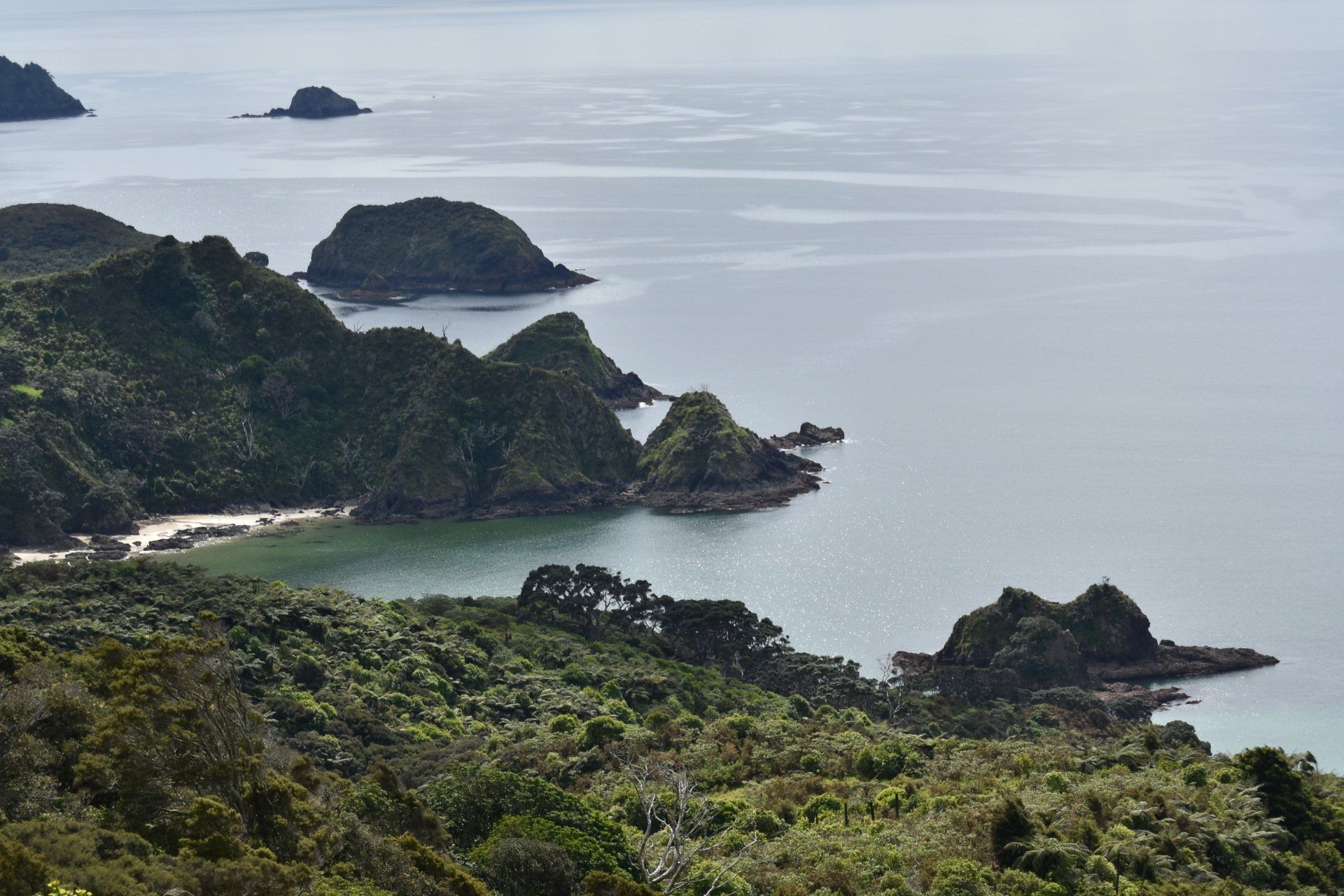 A large body of water surrounded by mountains and trees