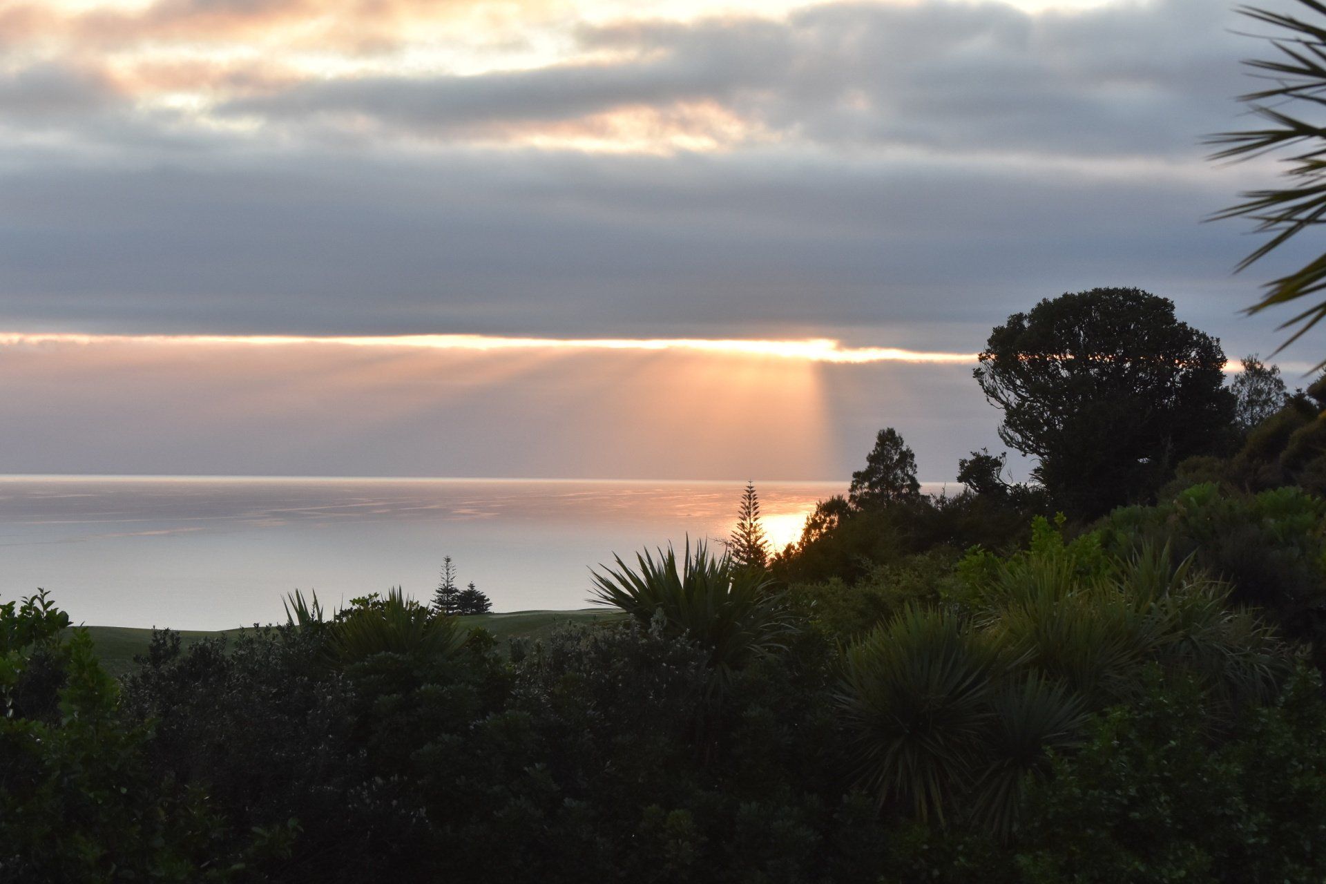 A sunset over a body of water with trees in the foreground