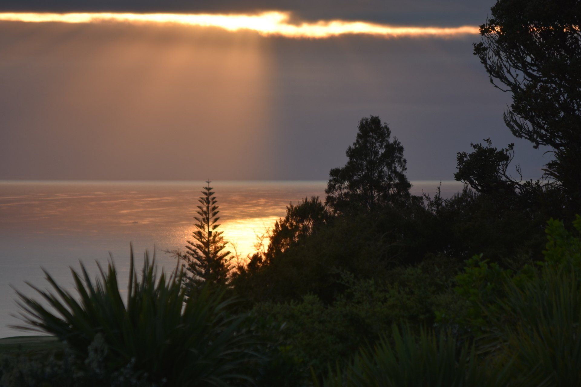 A sunset over a body of water with trees in the foreground
