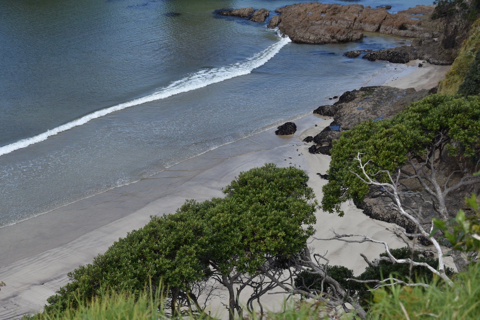 A view of a beach with trees and a wave coming in