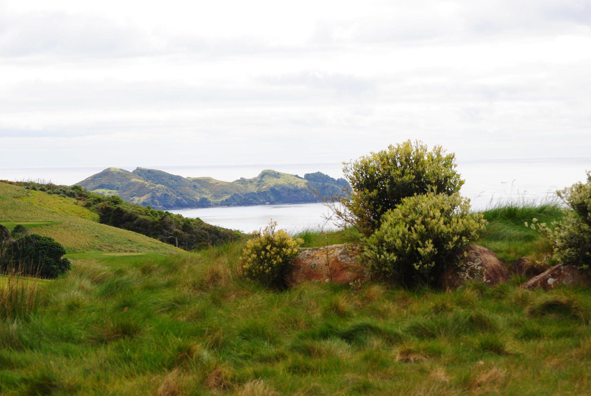 A lush green field with mountains in the background and a body of water in the foreground.