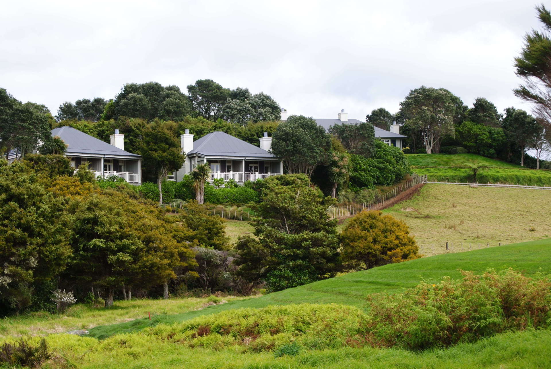 A row of houses sitting on top of a grassy hill
