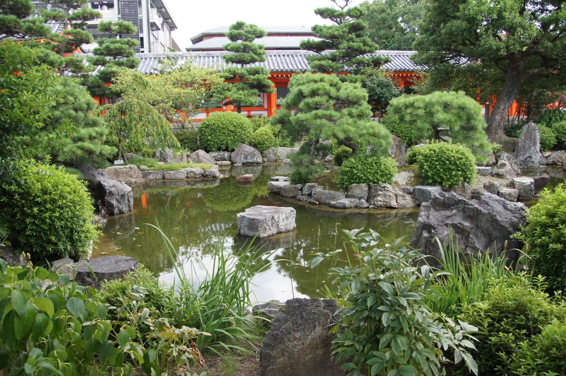 A pond surrounded by trees and rocks in a garden
