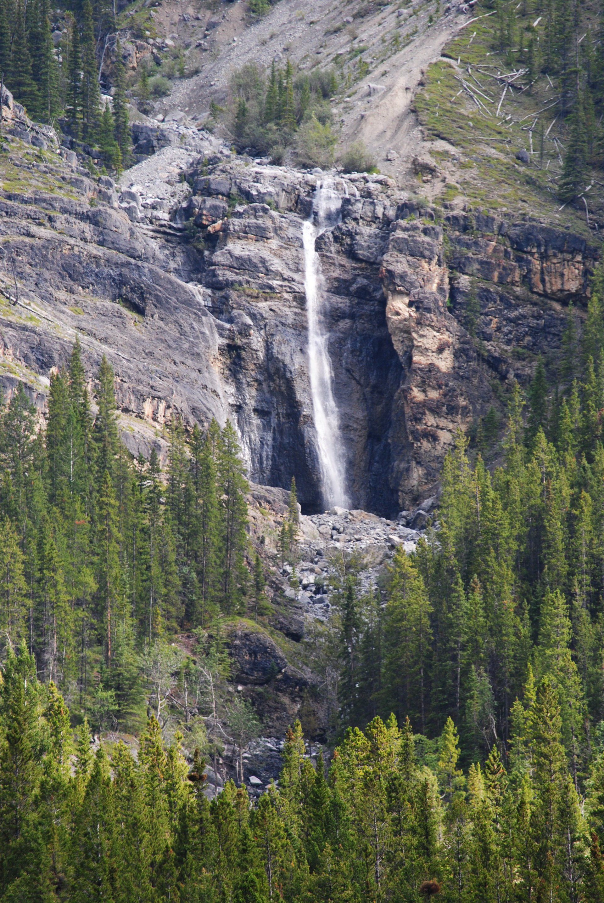 A waterfall is surrounded by trees and rocks in the middle of a forest.