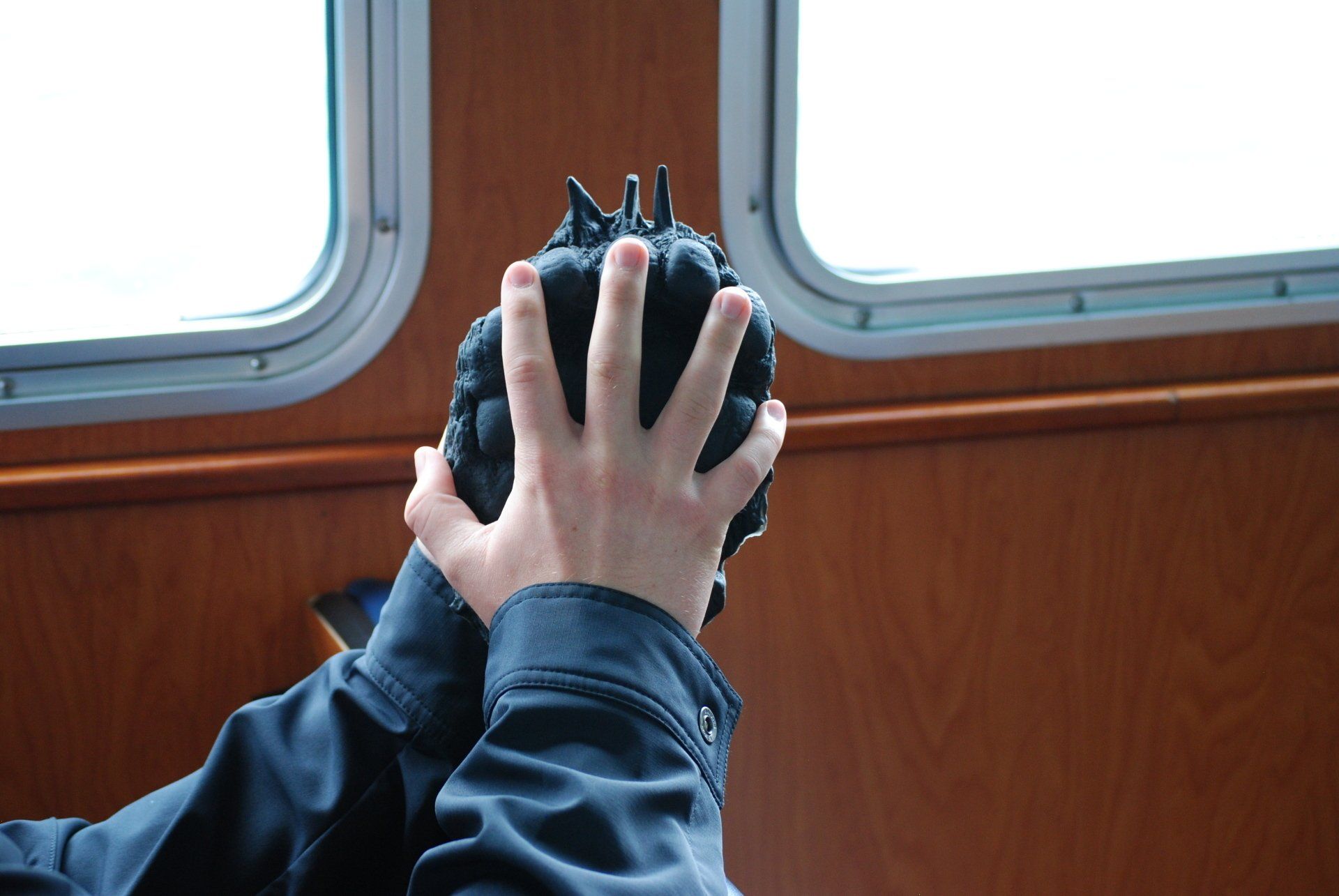 A person is holding a black object in their hands