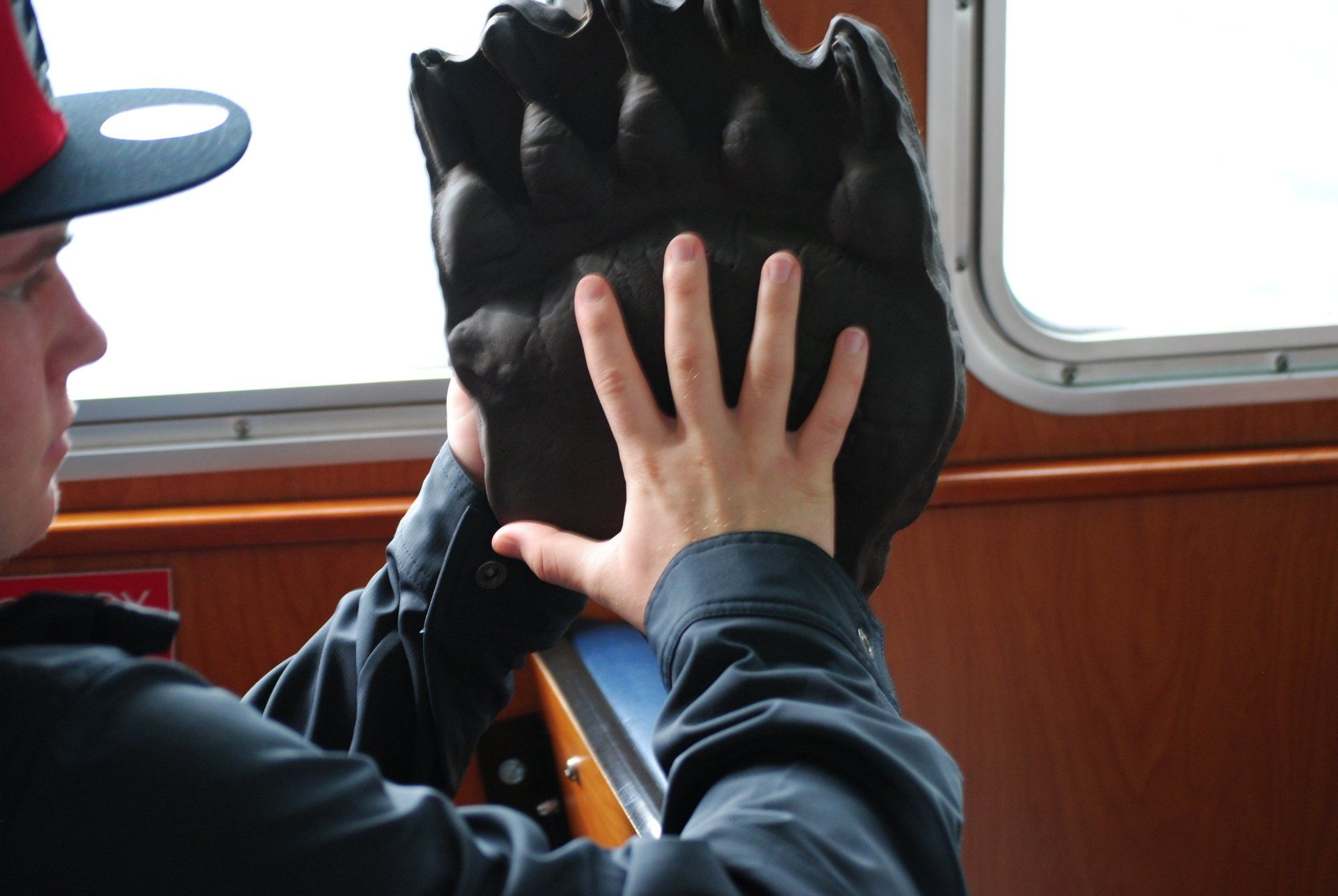 A man wearing a hat is holding a large bear paw