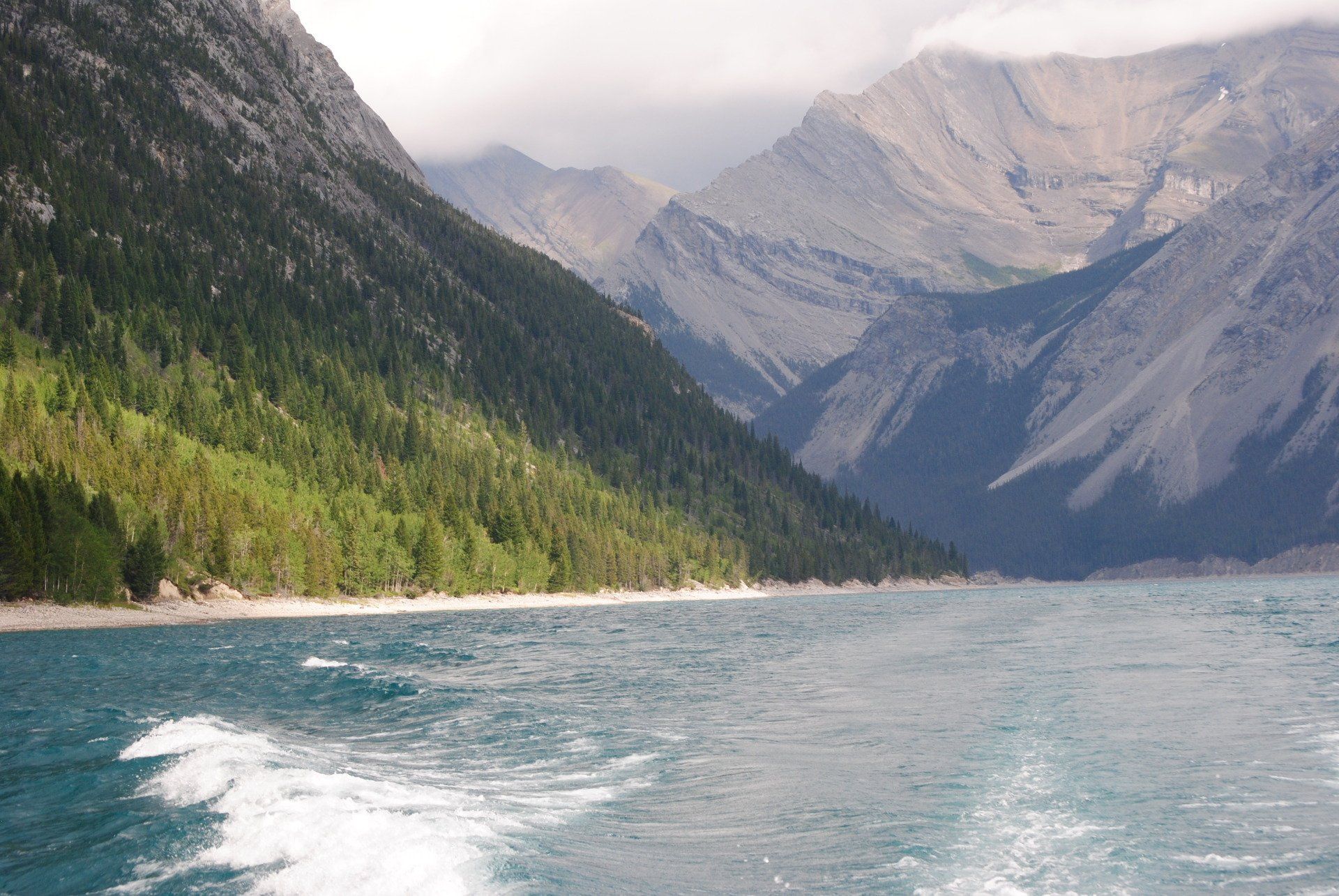 A lake with mountains in the background and trees on the shore