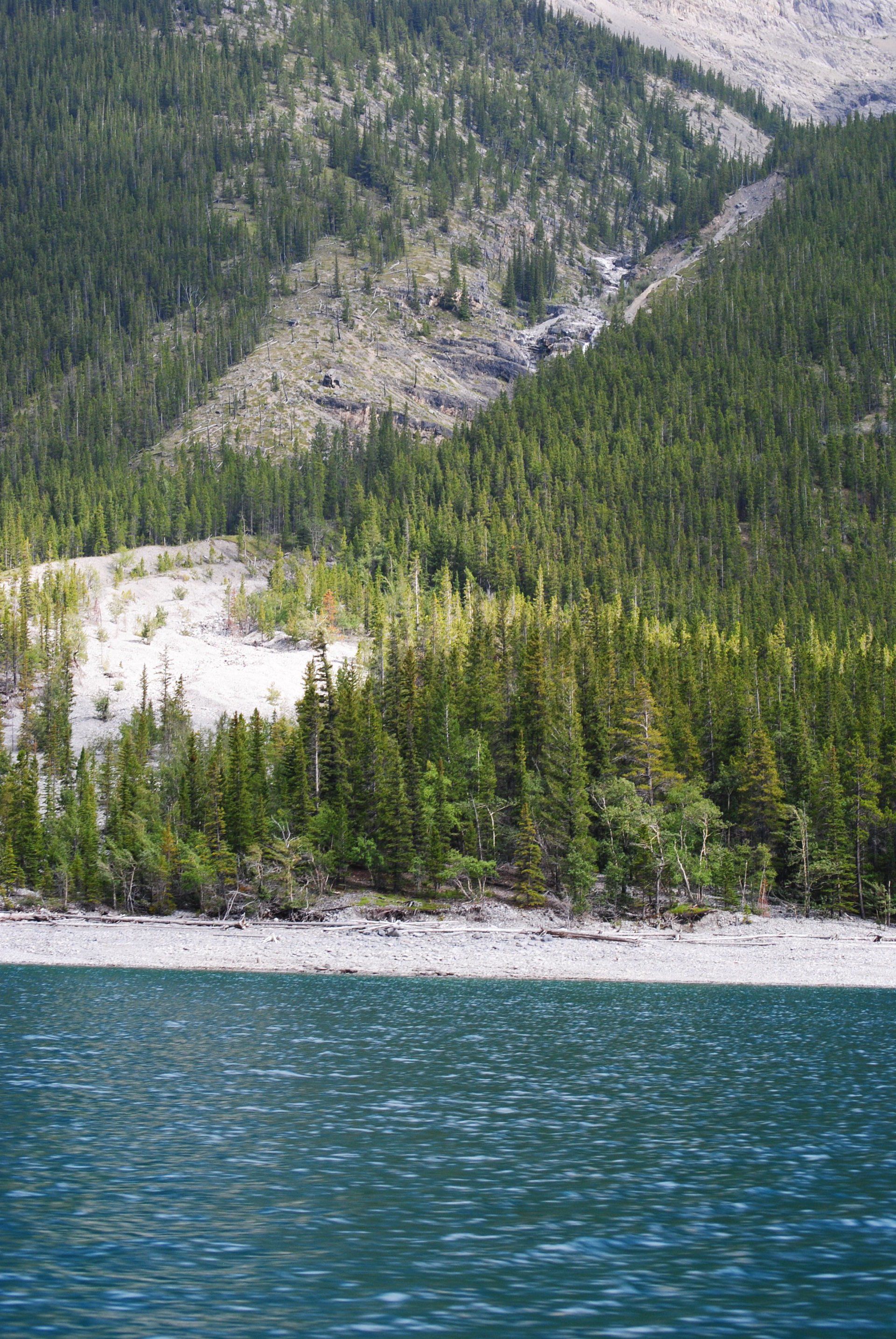A lake with mountains in the background and trees on the shore.