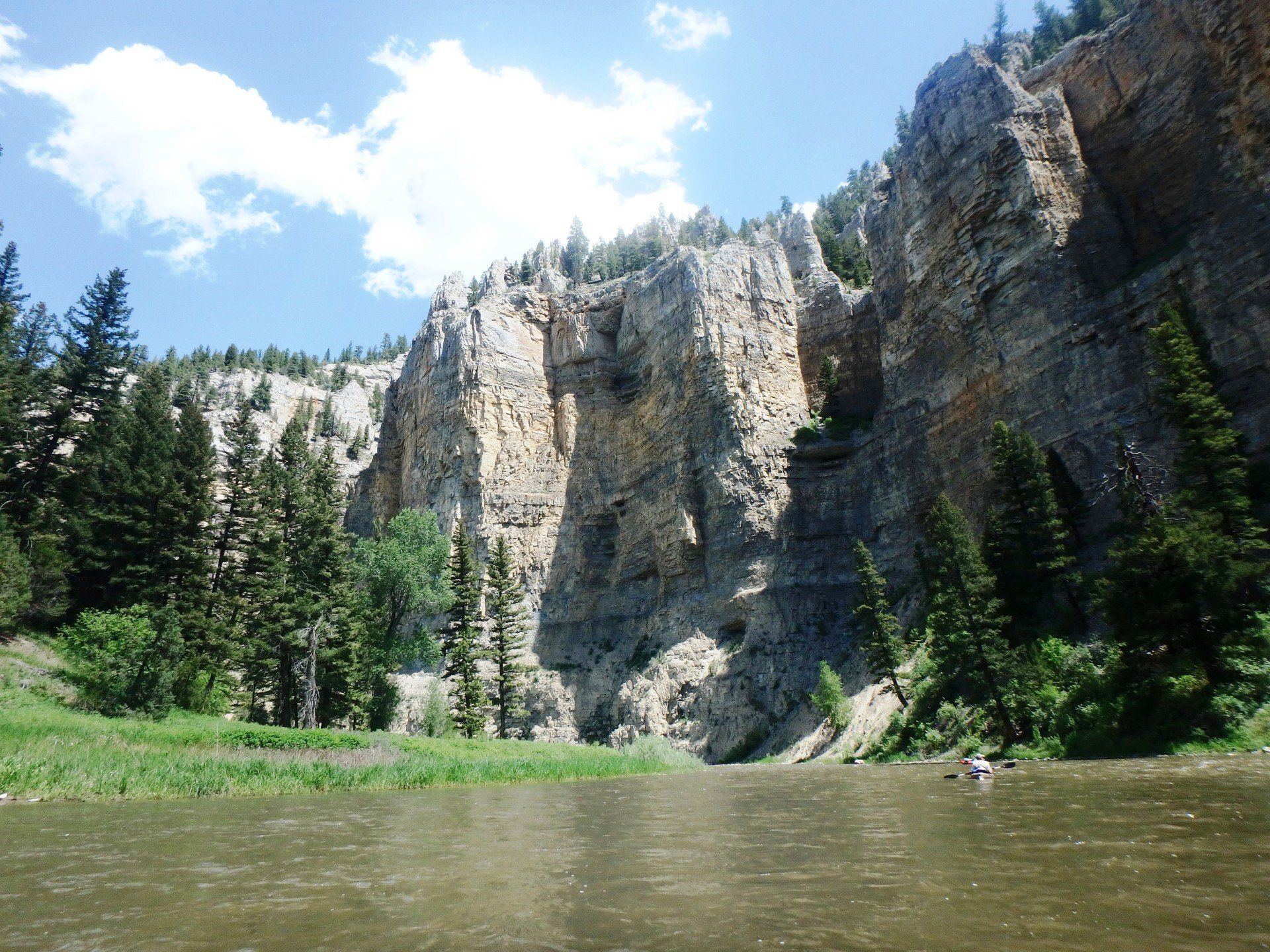 A river with a cliff in the background and trees in the foreground