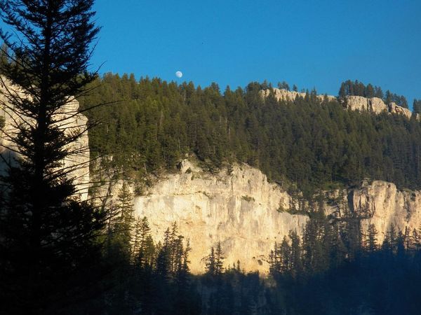 A mountain covered in trees with a full moon in the sky