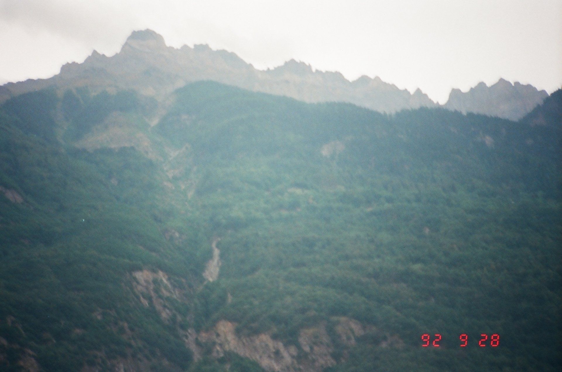 A mountain with a lot of trees on it