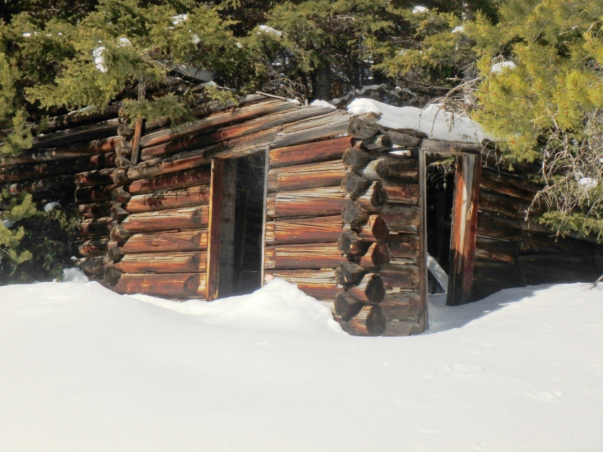 A log cabin in the snow with trees in the background