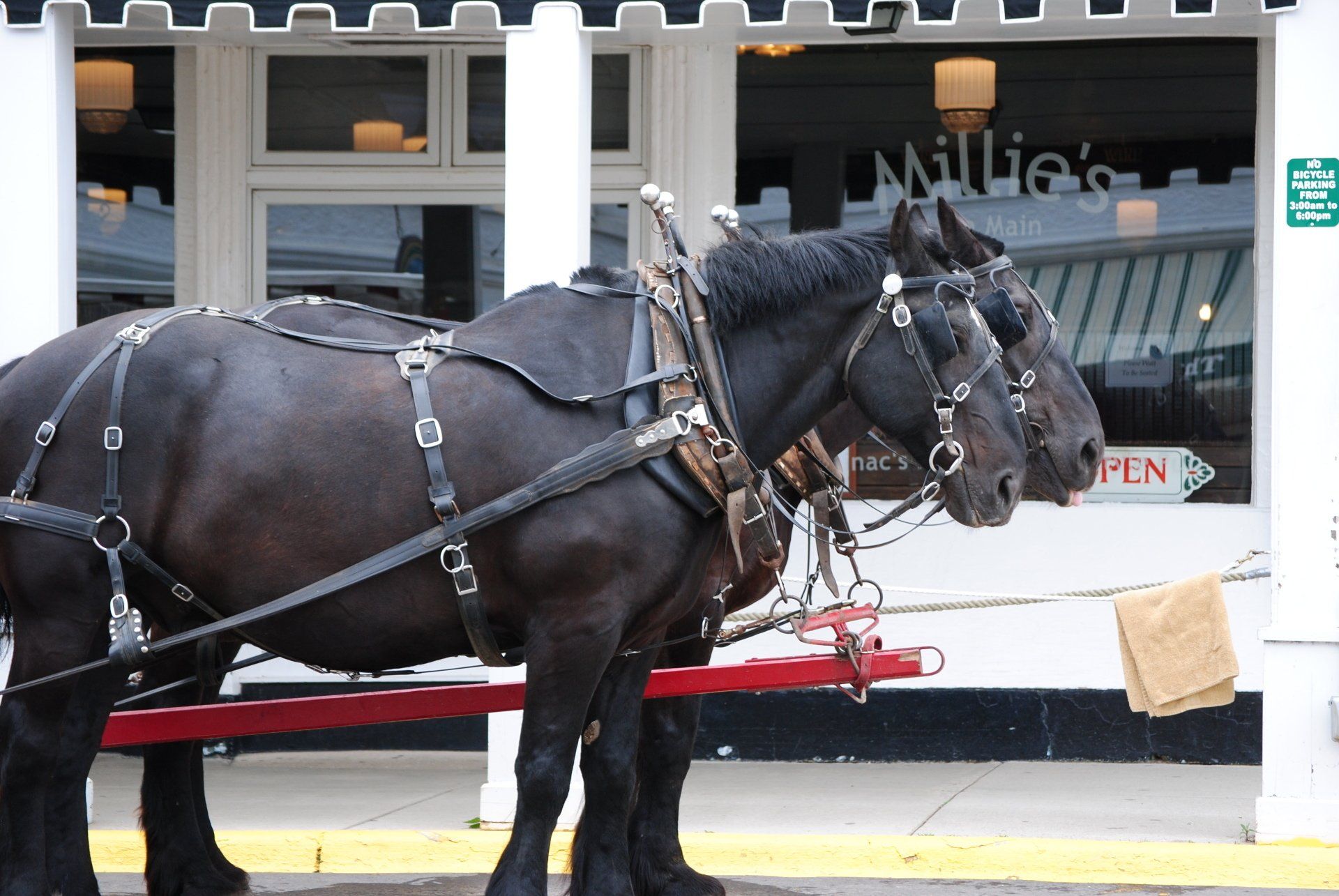 Two horses are pulling a cart in front of a store called millie 's