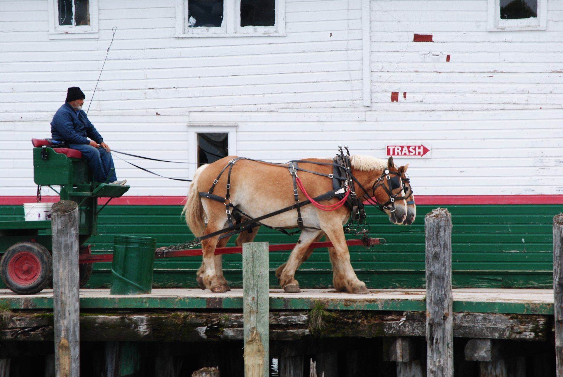 A man is riding a horse drawn carriage on a dock.