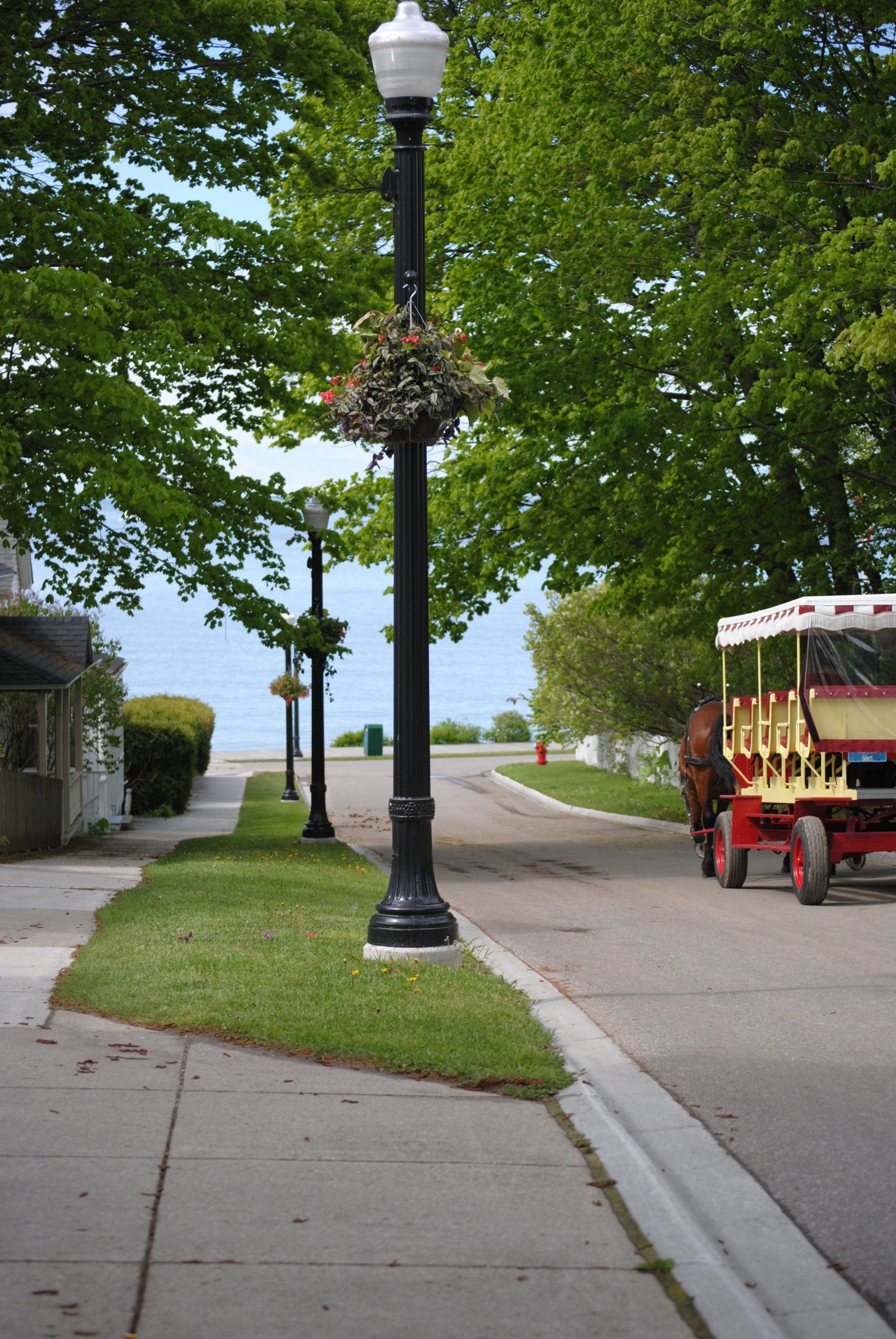 A horse drawn carriage is parked on the side of the road