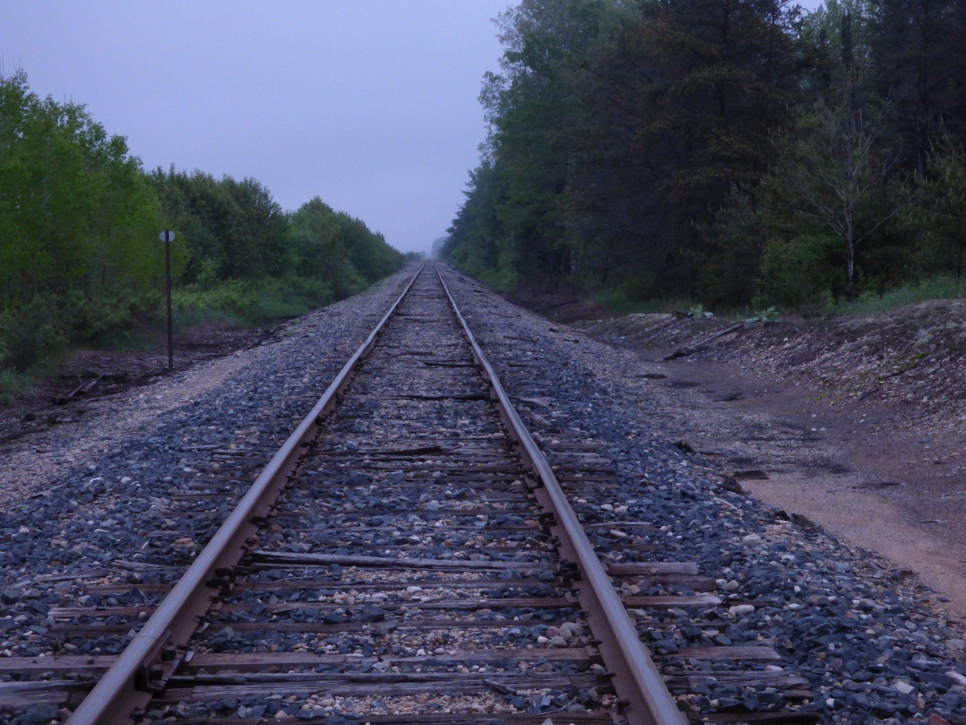A train track that is going through a forest