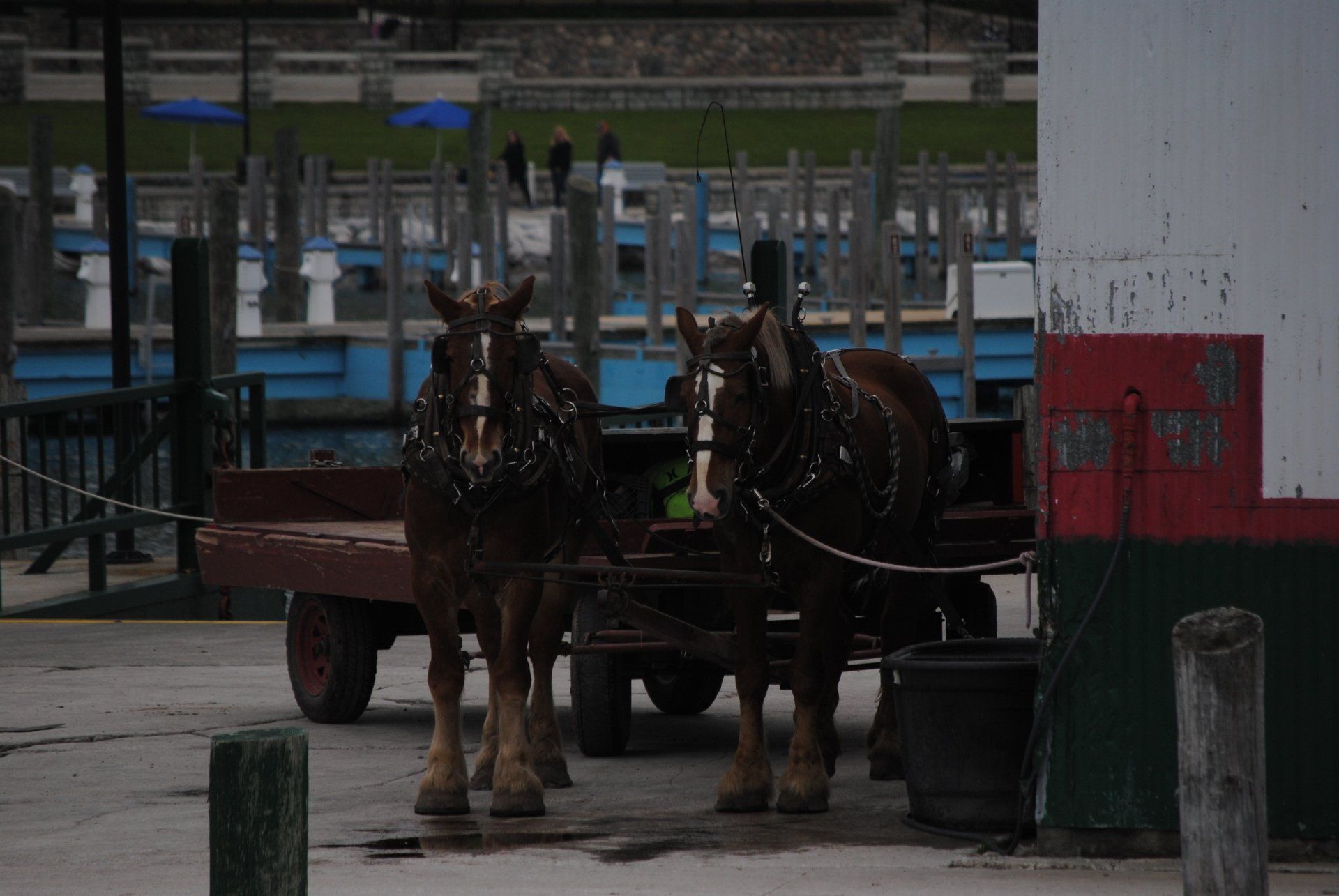 Two horses pulling a cart in front of a building