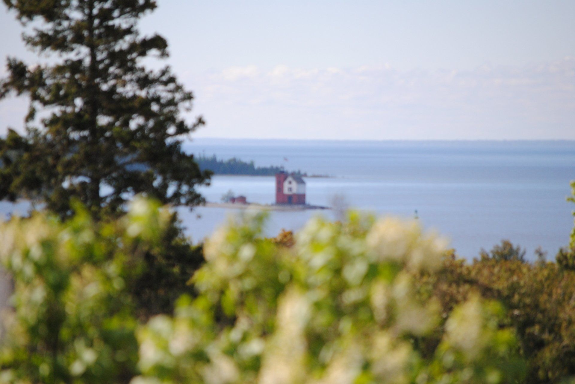 A lighthouse on a small island in the middle of the ocean surrounded by trees and flowers.