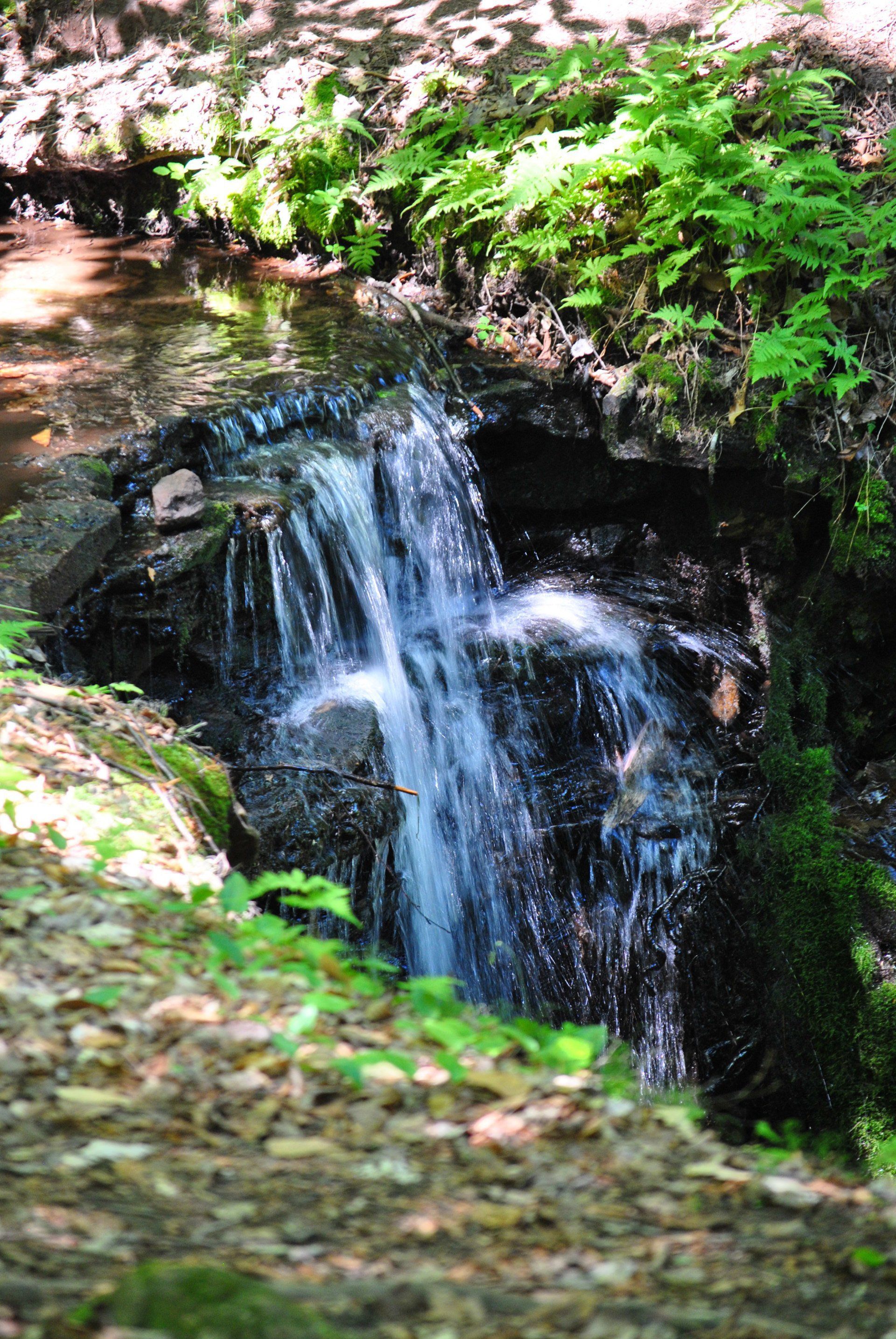 A small waterfall in the middle of a forest