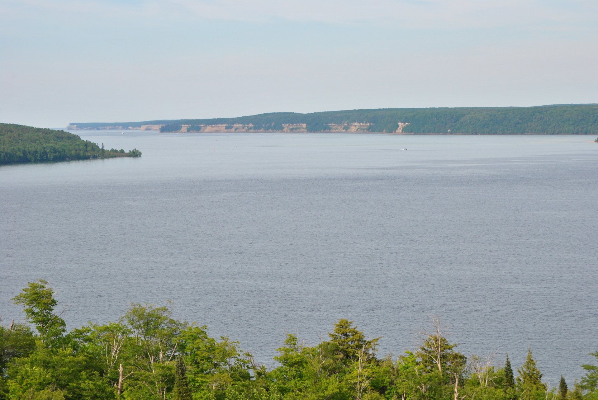 A large body of water surrounded by trees on a sunny day.